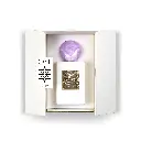 Secret-Tuberose-Box-scaled.webp